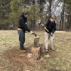 2020-Wood Splitting
